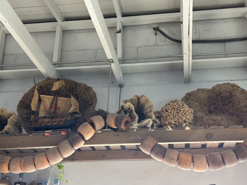 High on a wall beneath exposed white ceiling beams, a wooden shelf displays a detailed model sailing ship flanked by several large natural sea sponges and coral pieces, with a garland of large cylindrical wooden buoys draped across the shelf front.